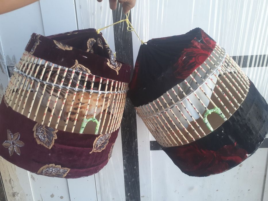 Bedona kanareka sayroqisi