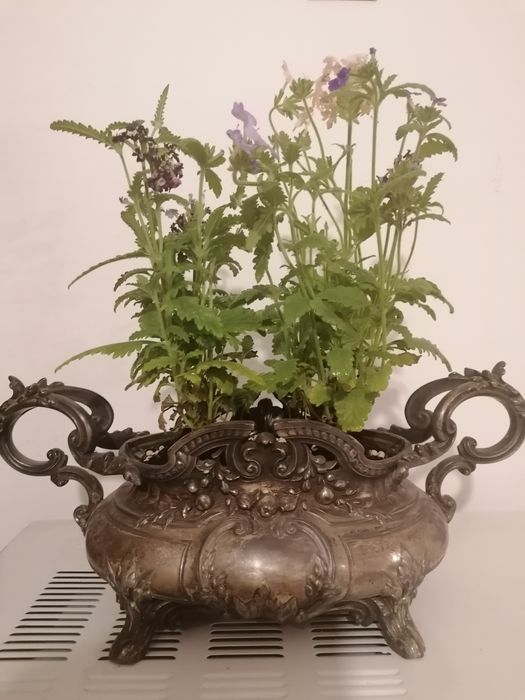Jardinieră argintată de interior