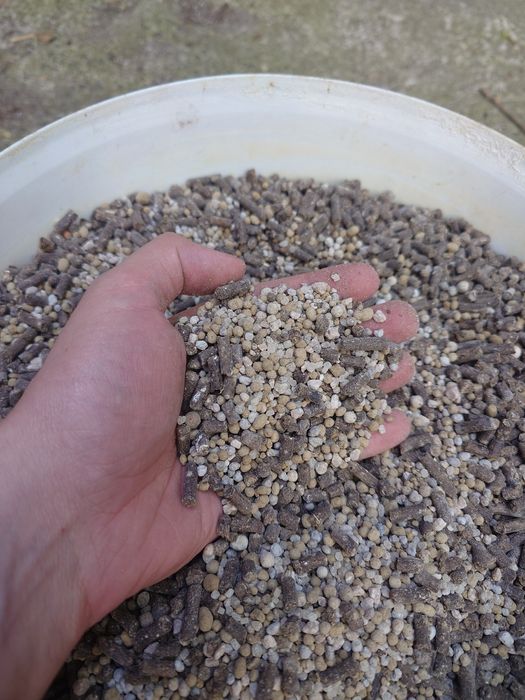 Tuns gazon / scarificare / fertilizare / curatare pomi