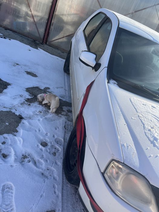 Dezmembrez logan 2012 1.5dci