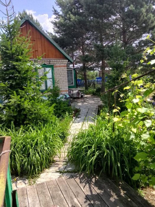 Продам дачу с домиком