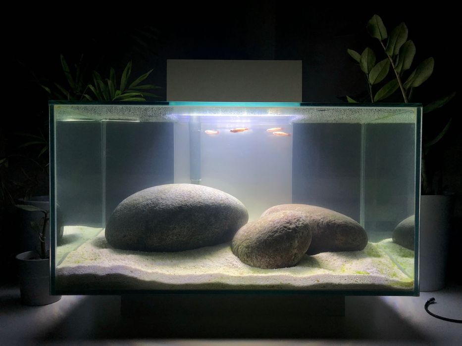 Аквариум Fluval Edge