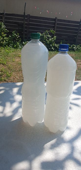 Chefir de apa. Sursa de sănătate!