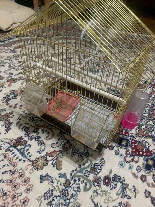 Клетка для попугая