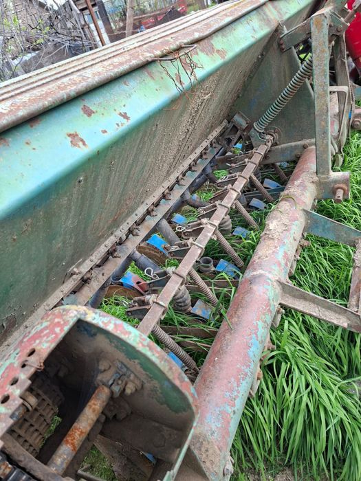 Semanatoare grau sup 29