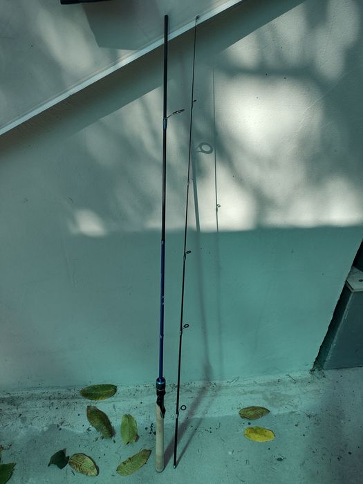 Спининг пръчка Дайва