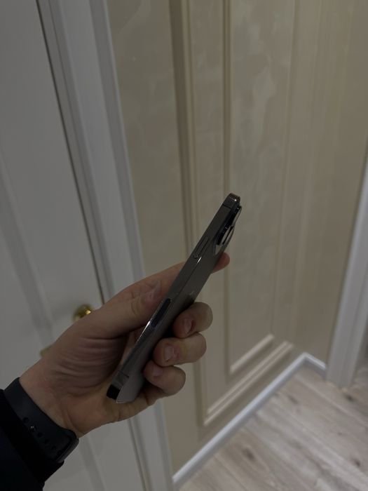 Iphone 13 pro max ideal