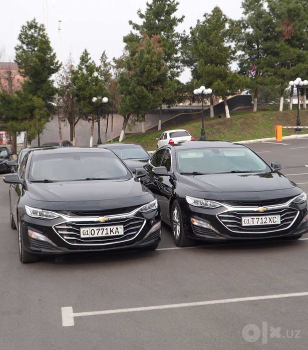 Chevrolet Malibu 2 haydovchi bilan | Biznes transfer | Safarlar