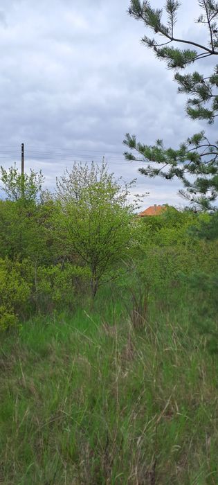Продавам парцел с възможност за регулация в село Извор Софииска област