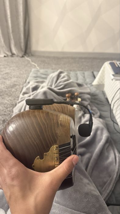 Mikrofon( intrumentalniy ) zvuksnimatel