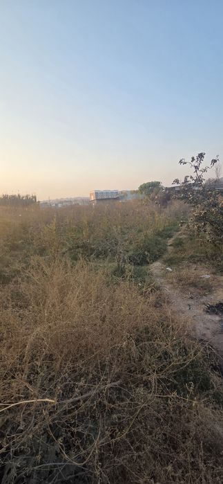 10 sotix  tomorqa  sotiladi