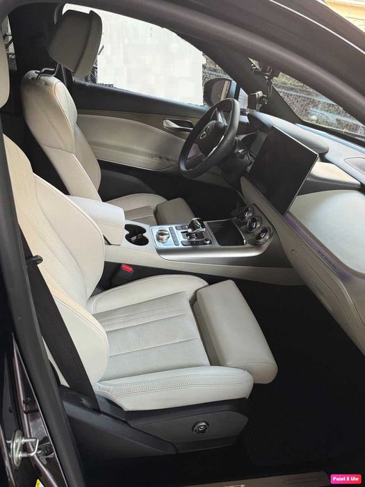 Denza X (BYD&Mersedes) в идеальном состоянии