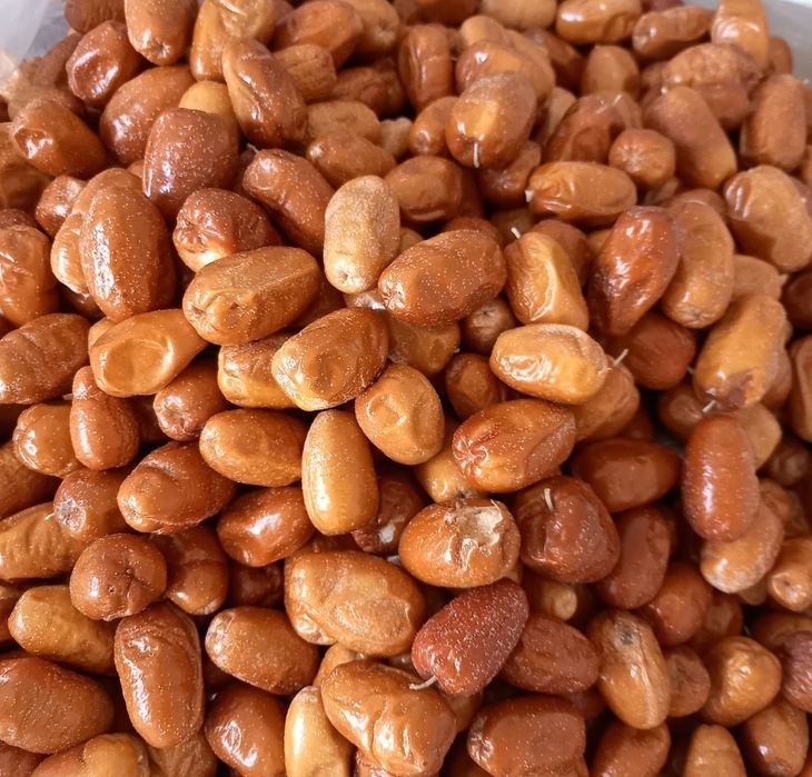 Джида jiyda jida нон жида non jida жийда jida