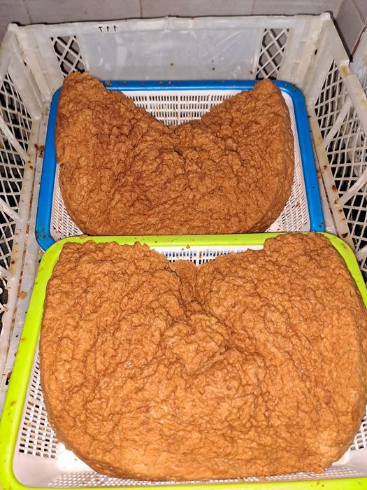 Ірімш, Рафаэлло.