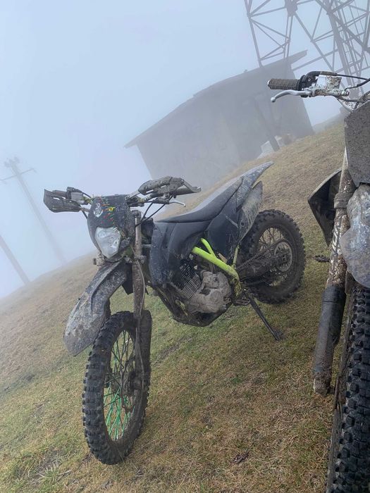 Alfarad 300cc 4t 2024