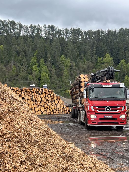 Mercedes-Benz Actros 3355 V8 camion forestier