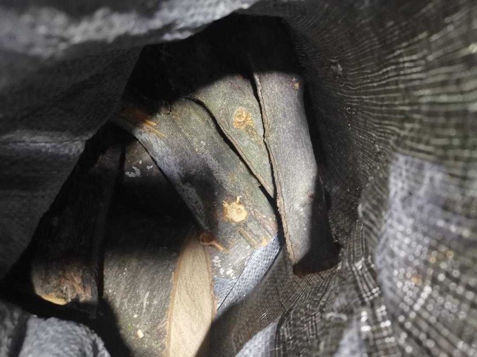 Продавам нарязани дърва за огрев