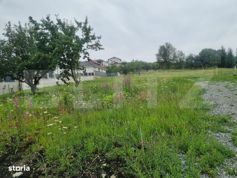 Teren 700 mp cu priveliste spre oras, disponibil si parcelat, Bistrita