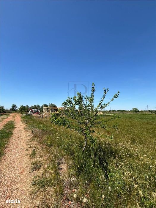 Teren  intravilan, Mosnita Noua, 610 mp. Utilitati in apropiere.
