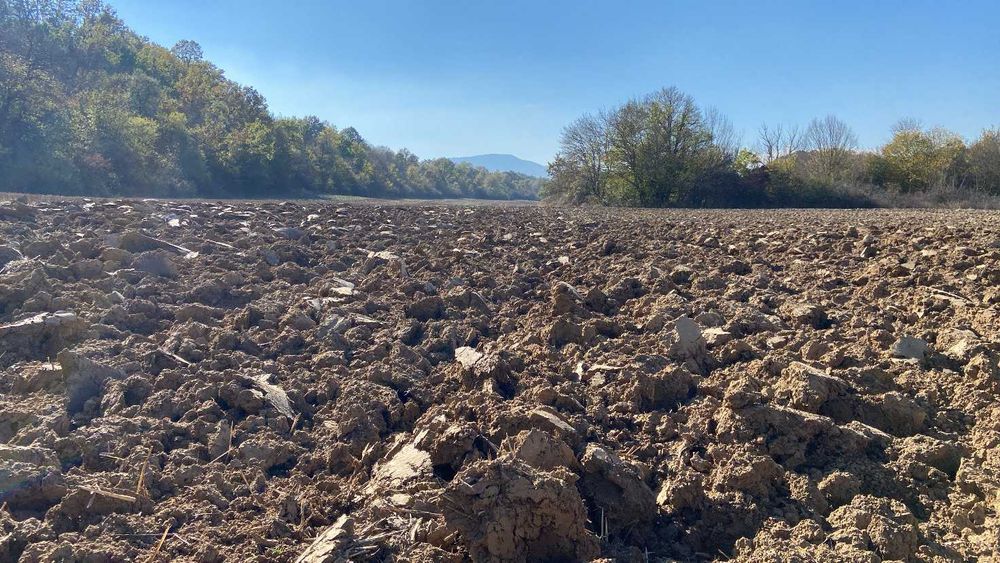 Продава се Земеделски имот в Дългопол -  кв.м за 1168 €/дка - Снимка #8