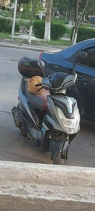 Sikuter Sirochno Sotiladi Benzinlik yurishi yaxshi
