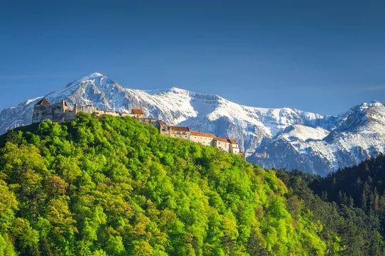 Cazare Pensiunea Casa Bergwald, Rasnov,Brasov