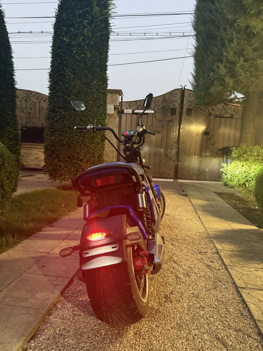 Scuter Electric At Performance