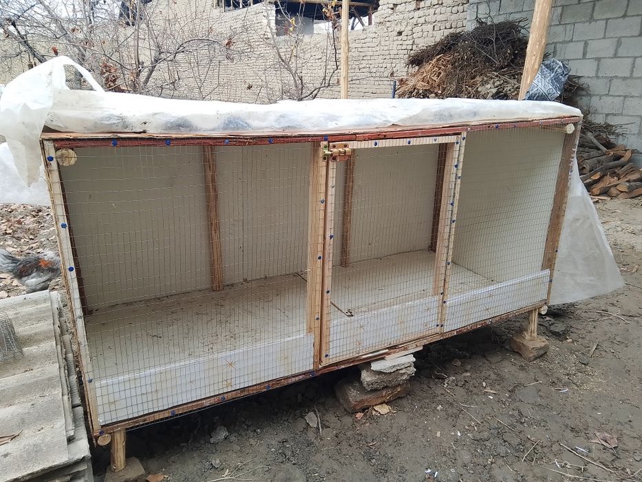 kataklar jõja va tovuqlar uchun