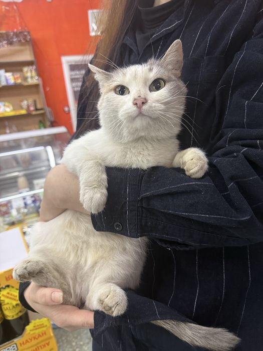 Беленькая девочка