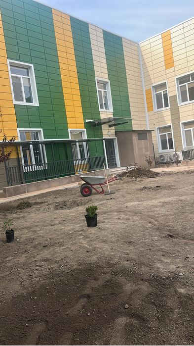 Автополив професиональный газон руллоный газон