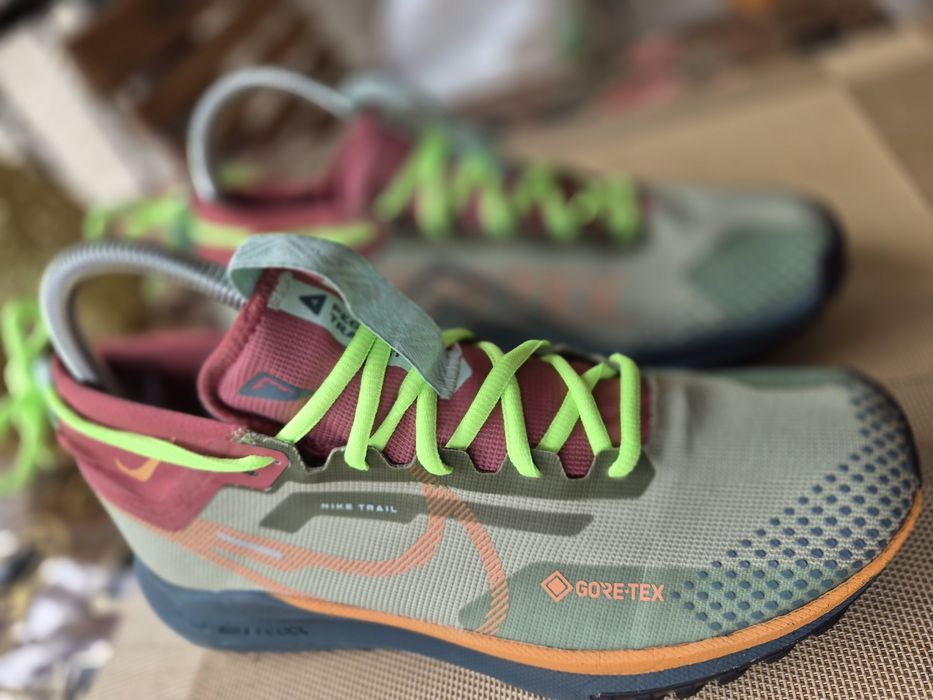 Nike Pegasus Trail 4 GoreTex hibrid