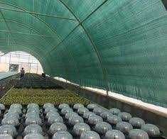 Plasa Gard/Umbrire -280 lei !!! 2x50 m/rola.