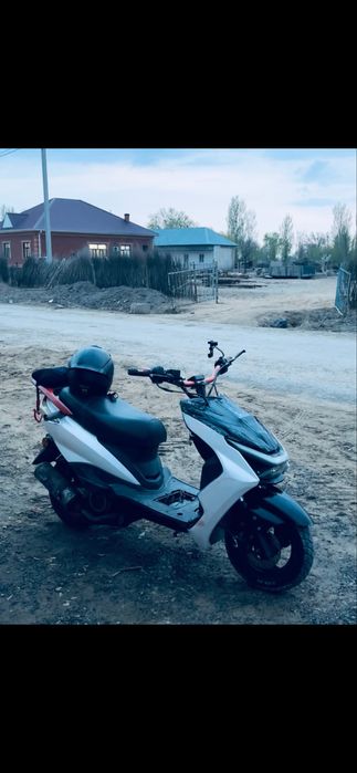 Мопед м12 журіп тур.  Үшады
