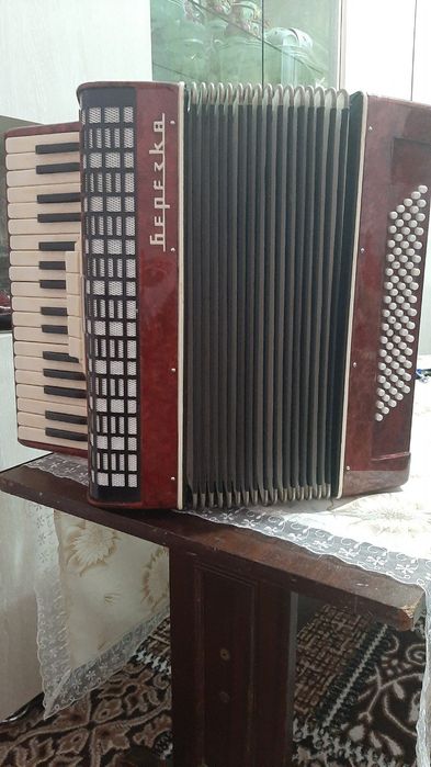 Аккордеон "Березка"