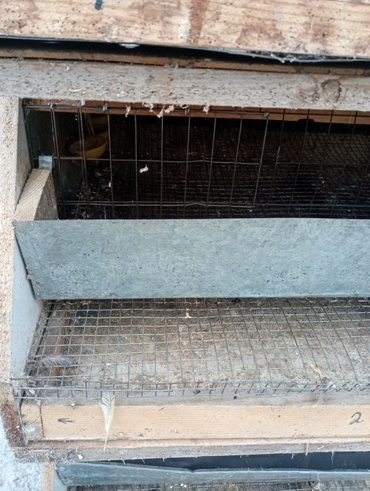 Клетка для перепелок