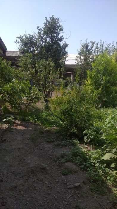 участок земля 3 соток