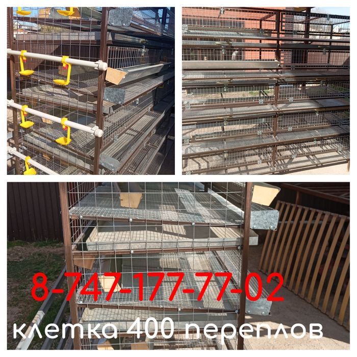 Клетка для ПЕРЕПЛОВ. Брудер для Цыплят.