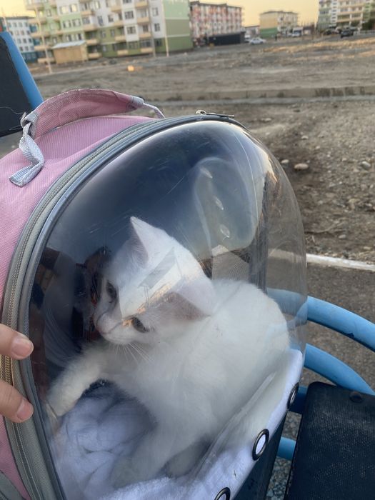 20 тысяч, если найдете