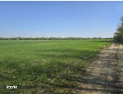 Casa si teren Darasti, ID: R3313254