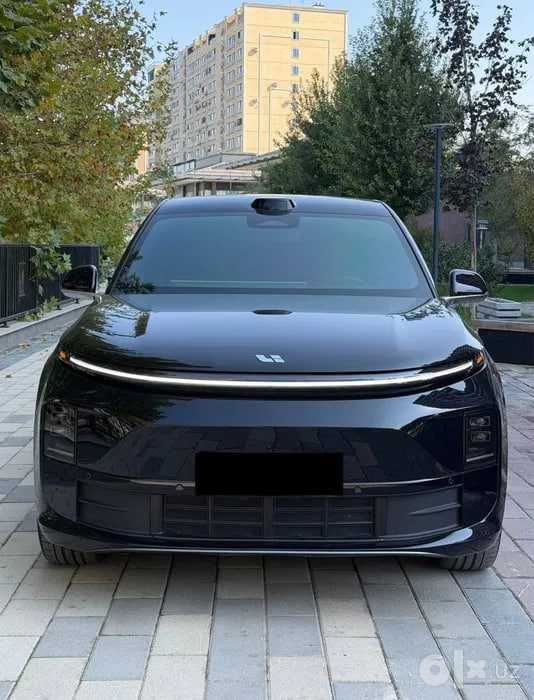 Lixiang L6   кора