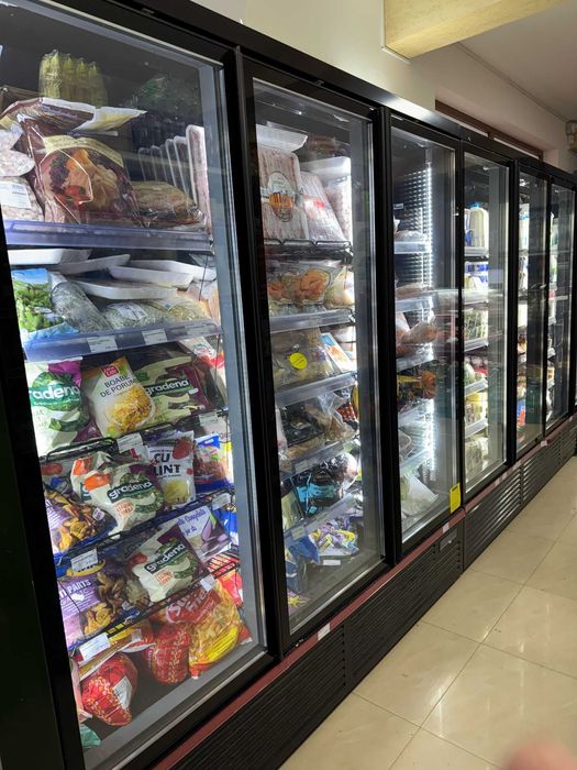 Vitrina frigorifica verticala cu 4 usi - Maxima 4DF / Congelare / 2.5m