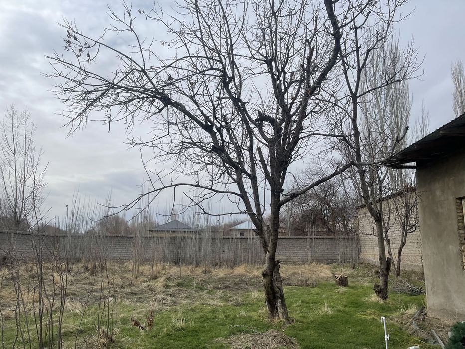 Hovli sotiladi chirchiqda