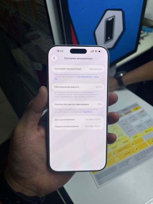 iPhone 17 Pro Max / 256Gb / 100% / EAC