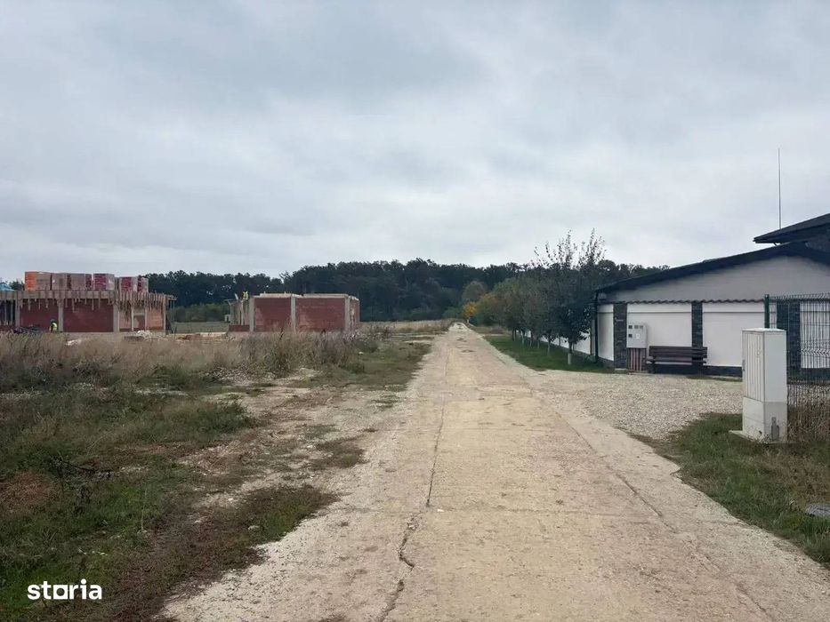 Oportunitate Teren Case Individuale sau Duplexuri Padurea Cernica 300m