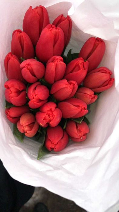 Тюльпаны Оптом Астана