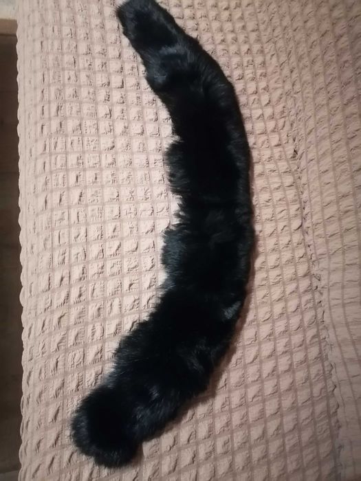 Два броя шал яки!