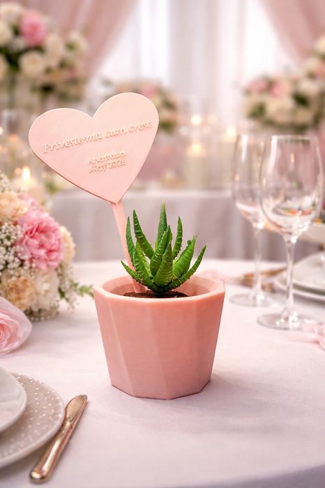 Mărturii botez personalizate – ghiveci cu suculentă + mesaj gravat