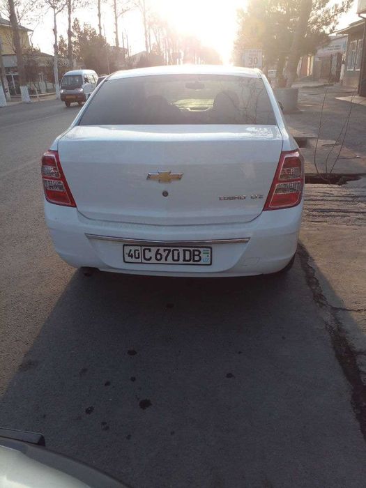 Cobalt 2023
Kraska toza
Propan 48