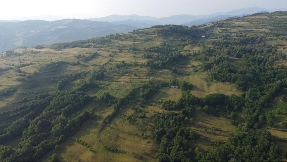 Teren cu livada si casa