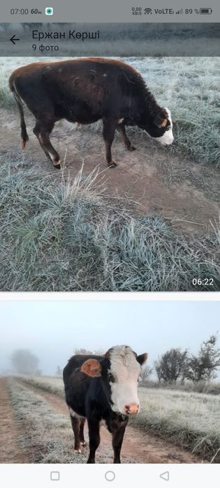 Орыс анасымен онлайн порно көру